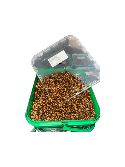 Noci tigre Quality Seeds mini 5 kg