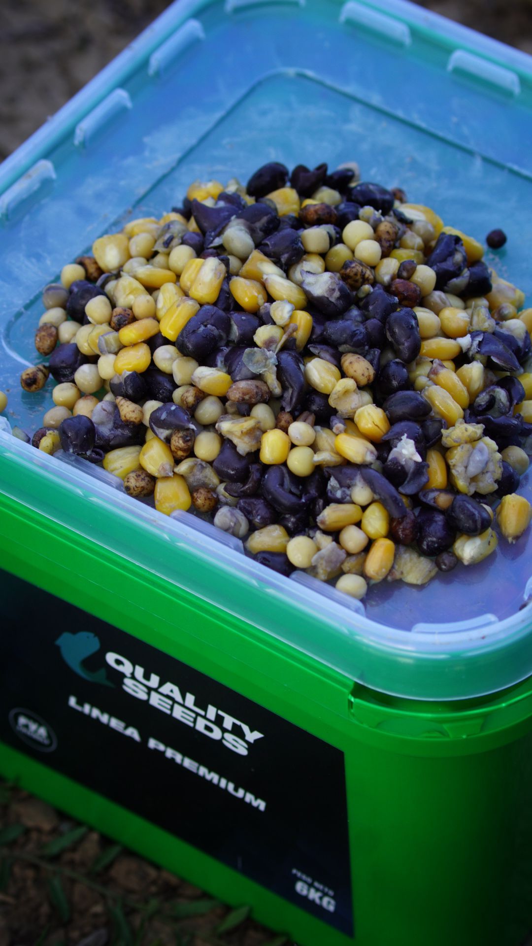 Secchio Miscela di semi Quality Seeds Classic 6kg