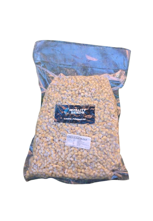 Mais Quality Seeds Bianco 5 kg