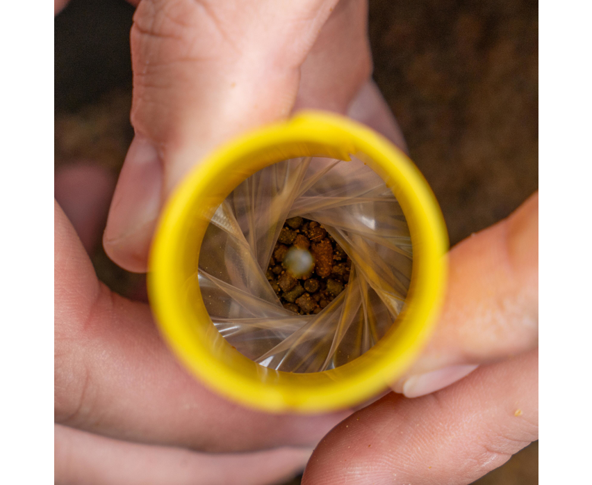 Sistema per la realizzazione di sacchetti pva Avid Carp