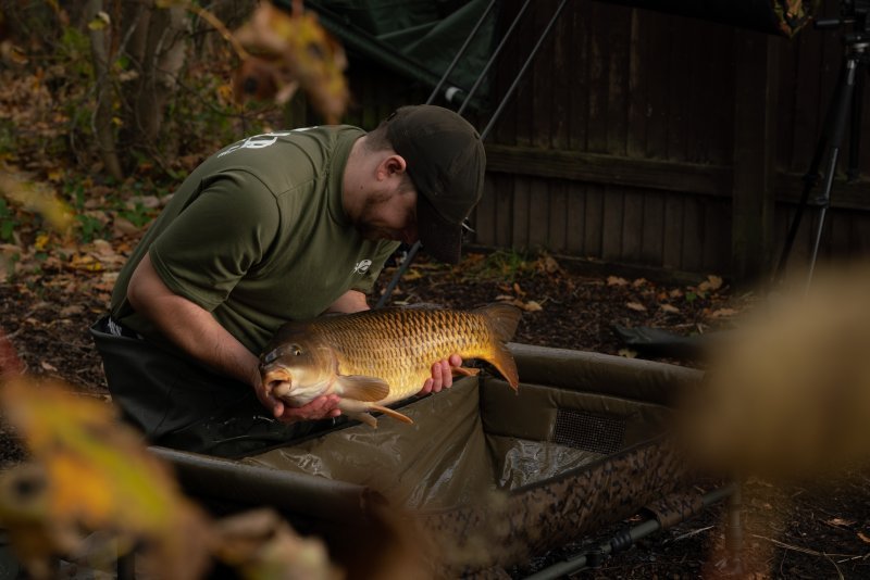 Cuna Solar SP C - Tech Quick Up - Tienda Carpfishing