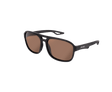 Gafas de sol polarizadas Avid Carp Classic - Tienda Carpfishing