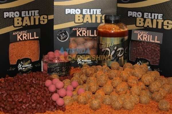 Boilies antartic krill gold poisson fenag carp