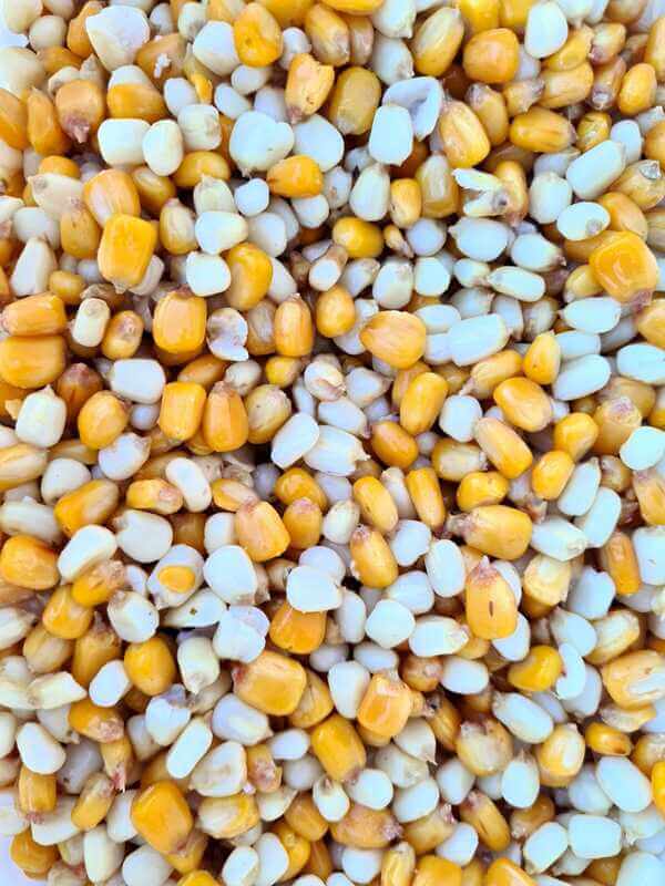 Mix Maiz Particles for Fishing