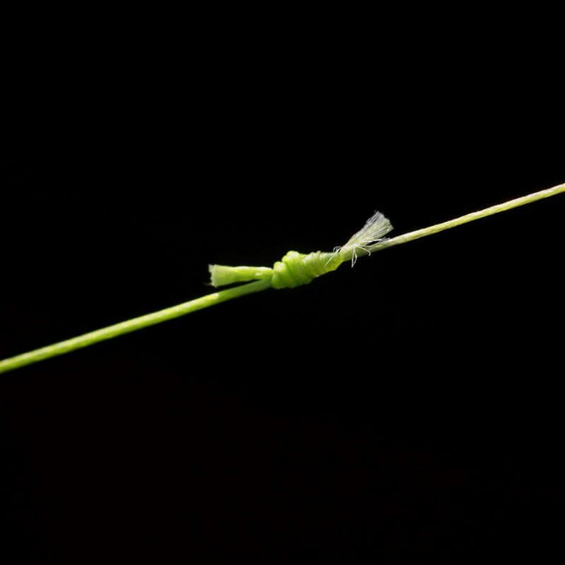 Trenzado ESP Spod 300 m 5