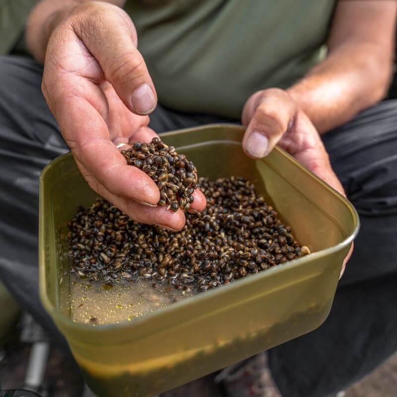 Caja Korum 0,6L - Tienda Carpfishing