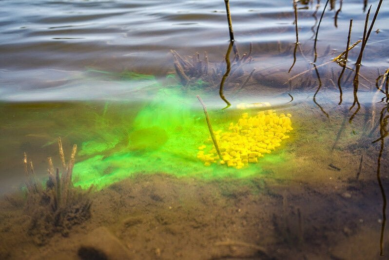 Líquido Fluminow Cream Pro Elite Baits Banana Strawberry 150 ml - Tienda Carpfishing