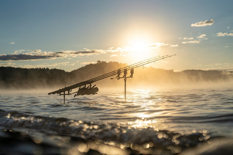 Liquidaciones Nash - Tienda Carpfishing
