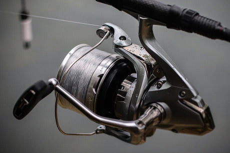 Ofertas Shimano - Tienda Carpfishing