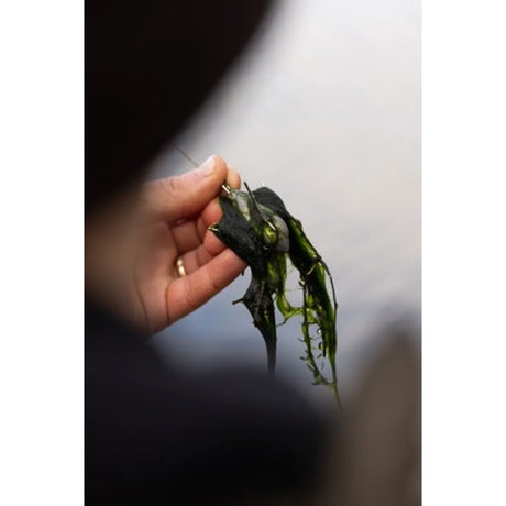 Plomo Korda Grapple