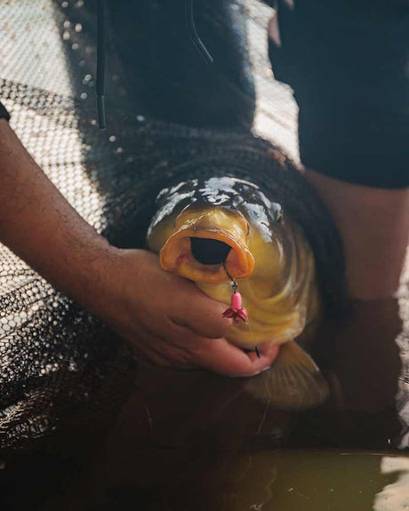 Anzuelos montados Fox Edges Fluoro D-Rig - Tienda Carpfishing