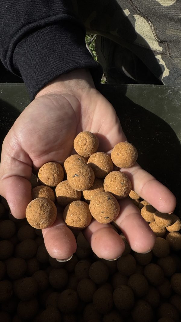 Boilies Solubili Pro Elite Baits Melon & Peach 20 mm 3,5 Kg