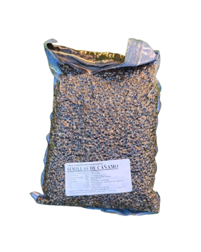 Canapa Quality Seeds