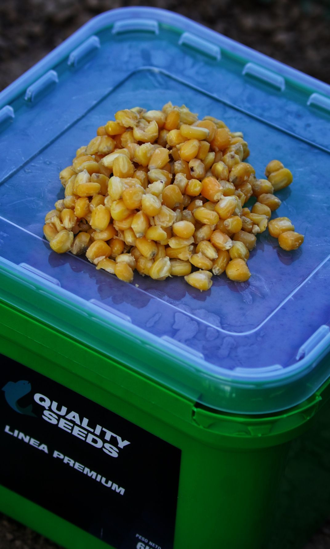Secchio Mais Quality Seeds Giallo 6 kg