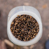Miscela Cañamon Nash - 2,5 L
