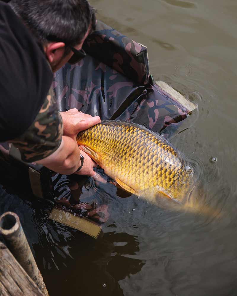 Tappeto Fox Camolite