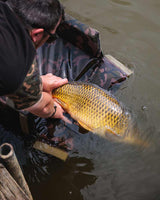 Tappeto Fox Camolite