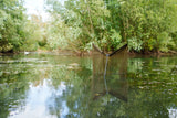 Guadino Nash Scope OPS Retract 42" 2 Sezioni Compatto
