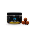 Boilies Equilibrato Any Water Spice 16mm- Tienda Carpfishing