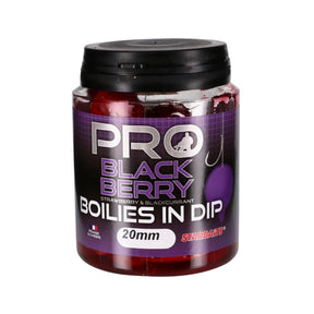 Boilies in Dip Starbaits Probiotic Black Berry 20 mm - Tienda Carpfishing