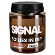 Boilies in Dip Starbaits Signal 24 mm - Tienda Carpfishing