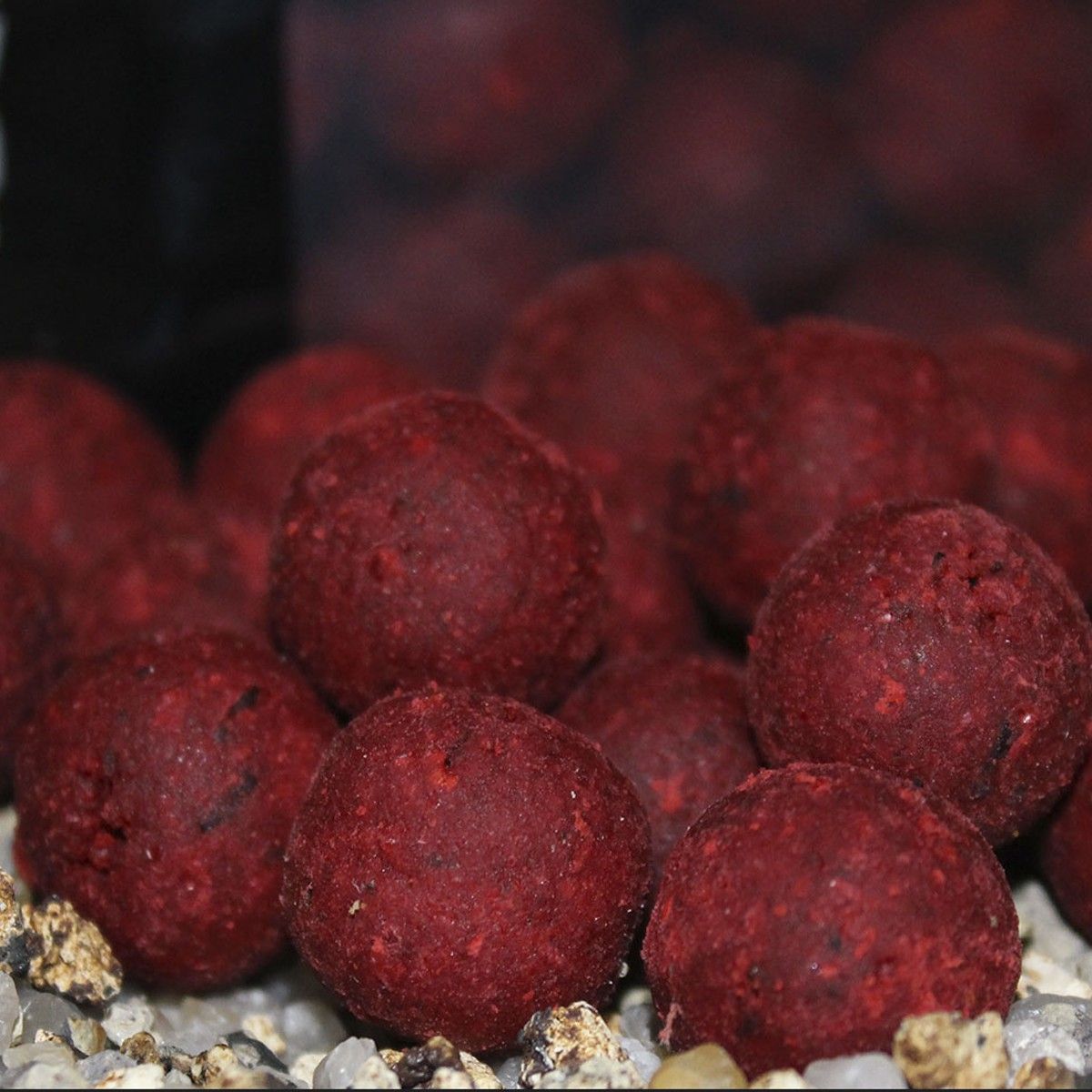 Boilies Trybion Cyprinus Max 15mm - Tienda Carpfishing