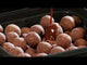 Hard Boilies Starbaits Red Liver - 20 mm