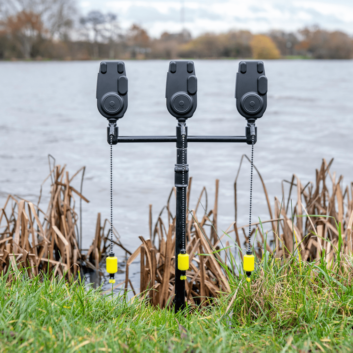 Set de alarmas 3+1 Avid Carp VTX - Tienda Carpfishing