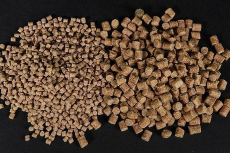 Live System Pellets ccmoore