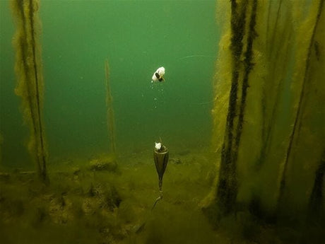 Kit flotante Edges Zig Fox - Tienda Carpfishing