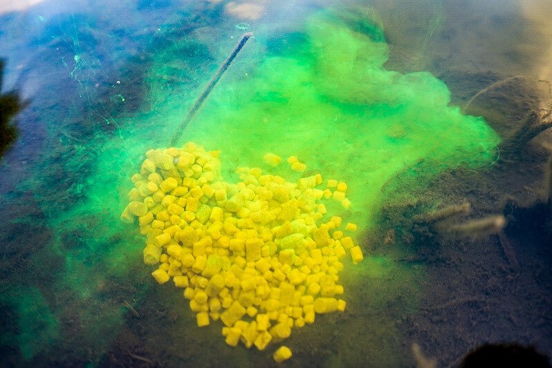 Líquido Fluminow Explosive Pro Elite Baits Squid Octopus 150 ml - Tienda Carpfishing