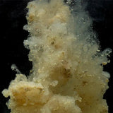 Stick Mix Sticky Manilla 900 g - Tienda Carpfishing