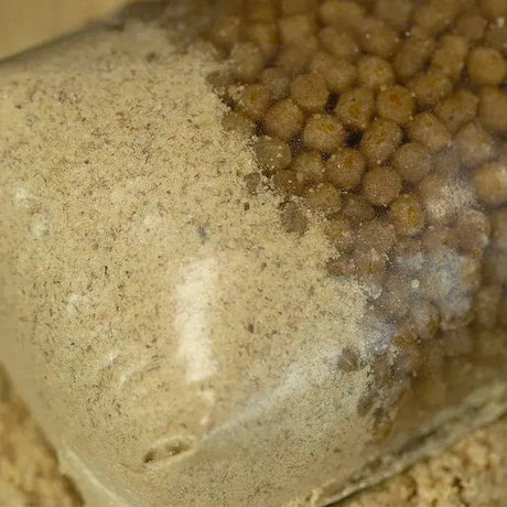 Stick Mix Sticky Manilla 900 g - Tienda Carpfishing